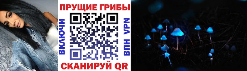 Псилоцибиновые грибы Magic Shrooms  Купить  Горнозаводск 